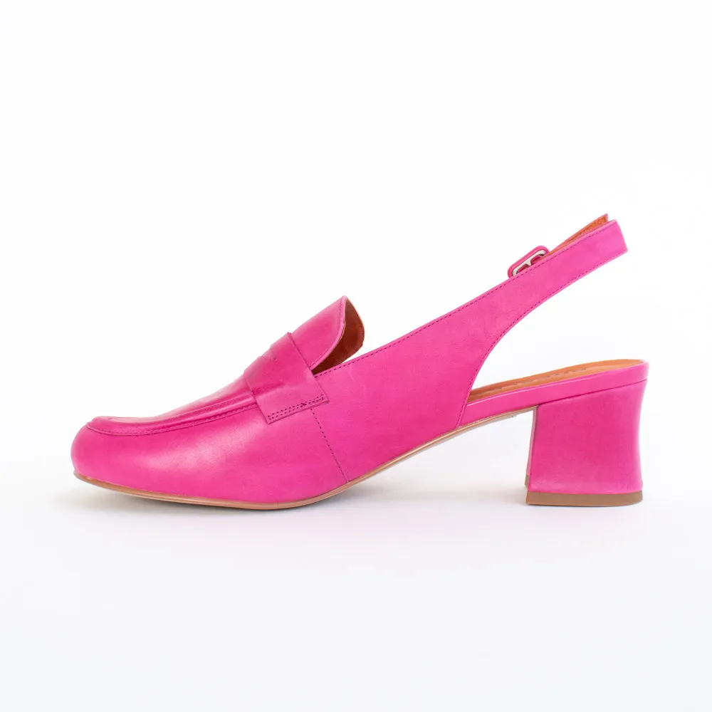 Azziz Fuchsia