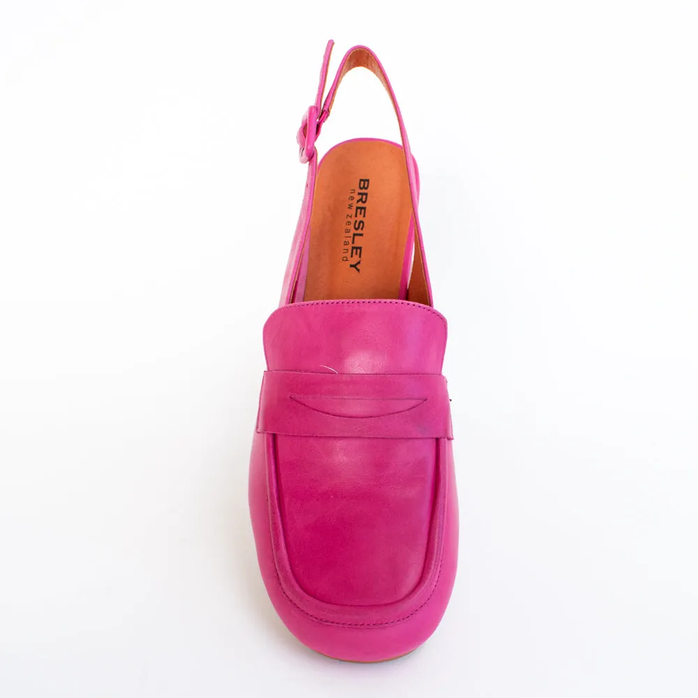 Azziz Fuchsia