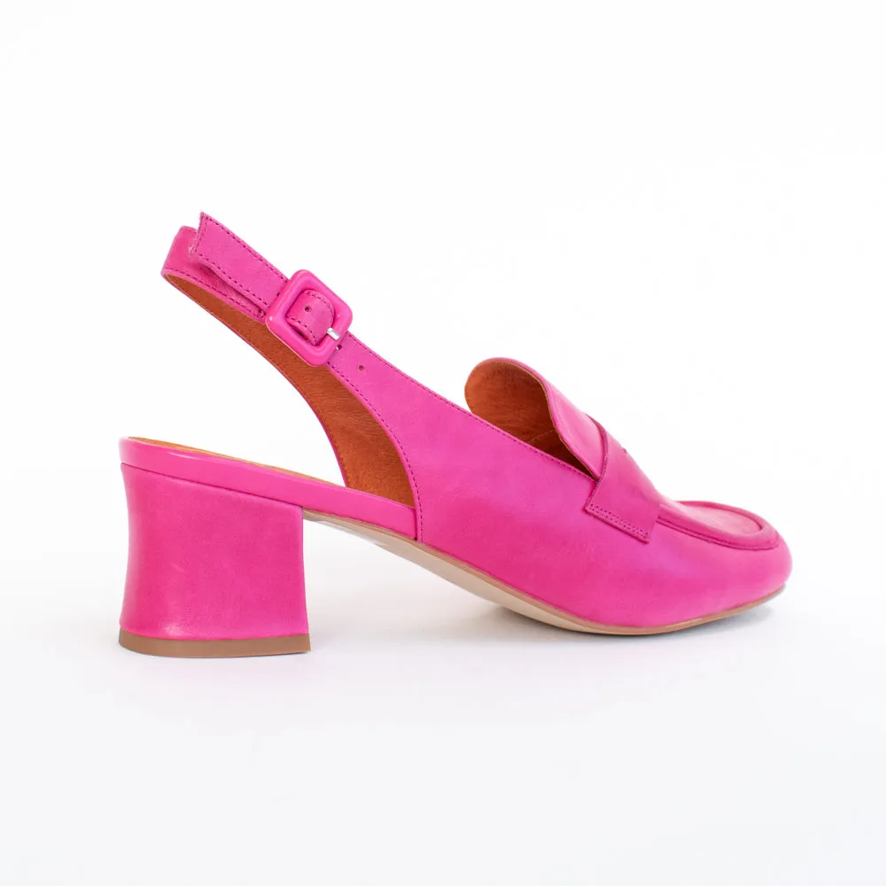 Azziz Fuchsia