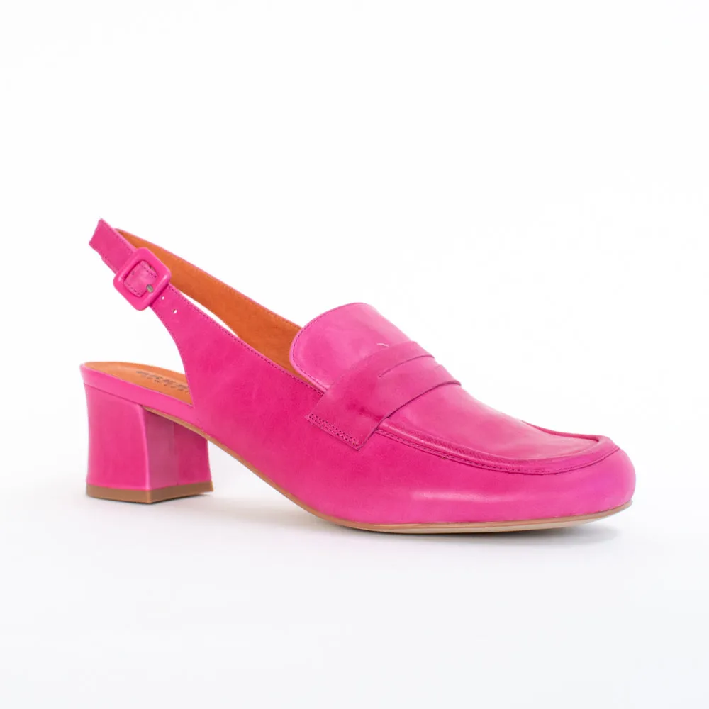 Azziz Fuchsia