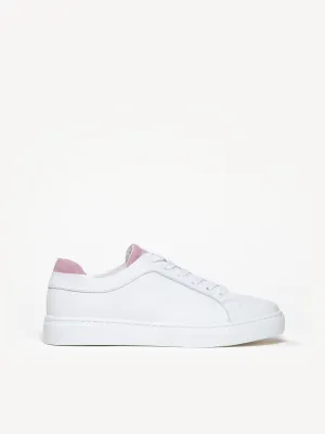 The Palestra Due (Sample Sale)