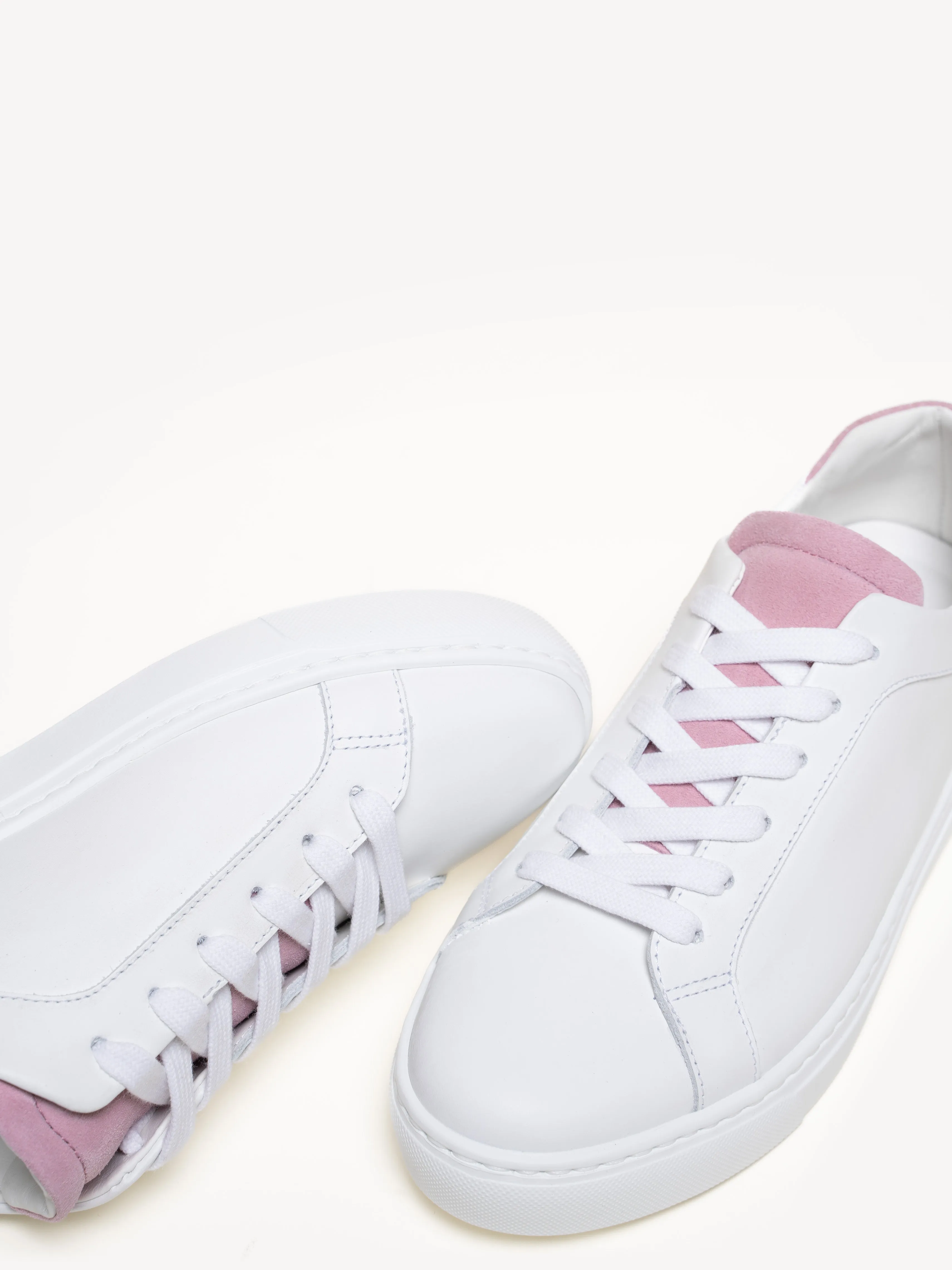 The Palestra Due (Sample Sale)
